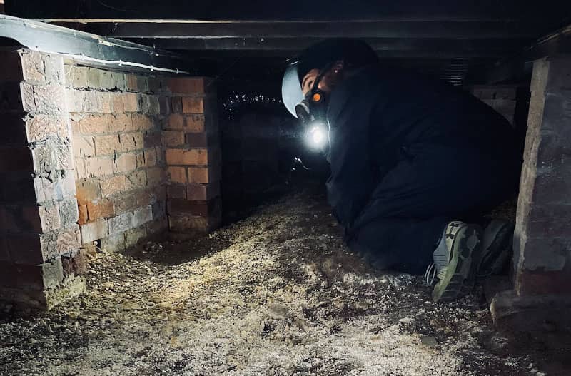 Pest Infestations: Another common issue in the area is pest infestations, particularly termites. These can cause significant damage to a property if left unchecked, so it's important to look for any signs of pest activity during a property inspection.
