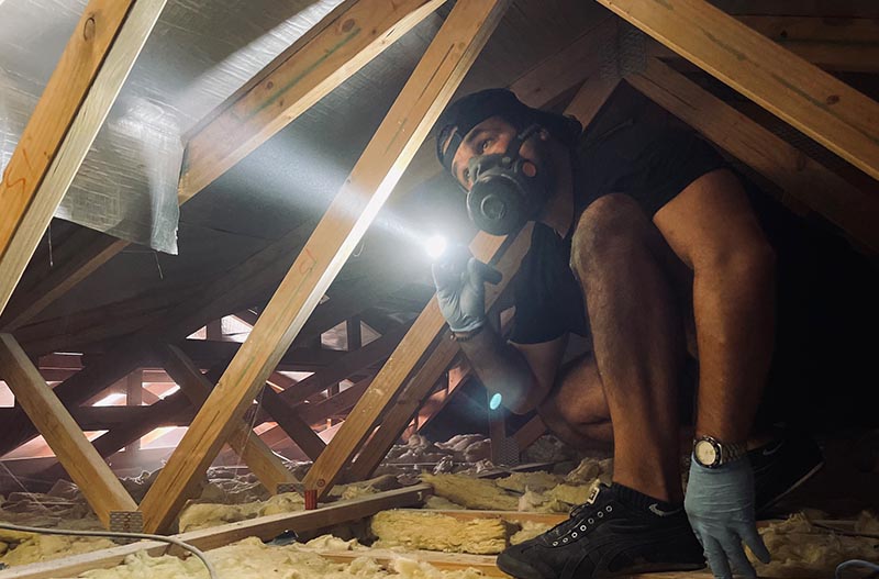 Building inspectors play a crucial role by conducting inspections to identify and assess the presence of hazardous materials, such as asbestos, lead paint, and other harmful substances.